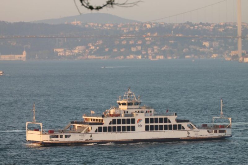 Bosphorus Cruise from Istanbul Airport - Who Would This Tour Suit?