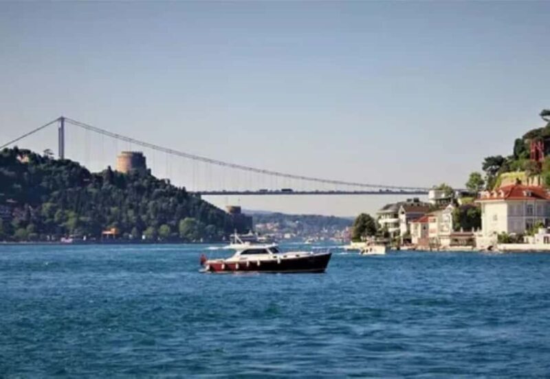 Bosphorus Cruise: Sunset & Night with Transfer & Soft Drinks - What to Expect from the Bosphorus Sunset & Night Cruise
