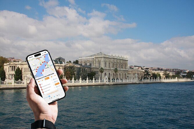 Bosphorus Daytime or Sunset Sightseeing Cruise & Audio Guide - The Experience: What You Can Expect