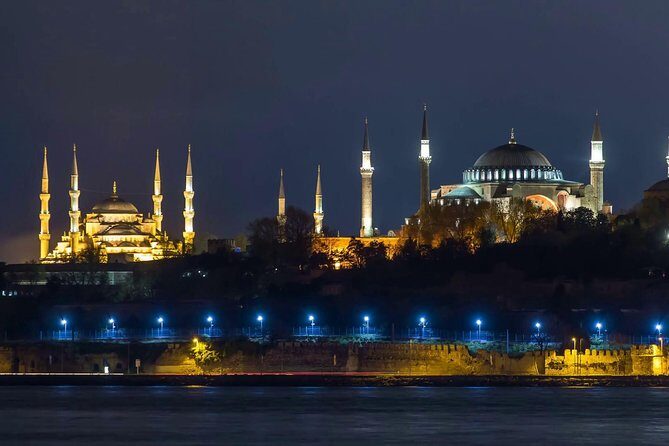 Bosphorus Dinner Cruise and Turkish Night Show (All-inclusive) - Who Would Love This Tour?