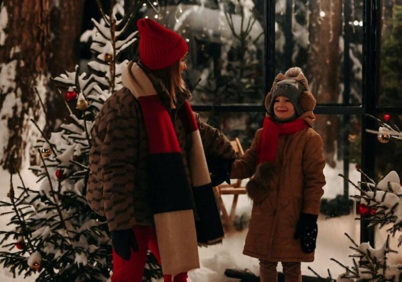 Boston: A Bostonian Christmas Private Tour - An Honest Look at the Tour