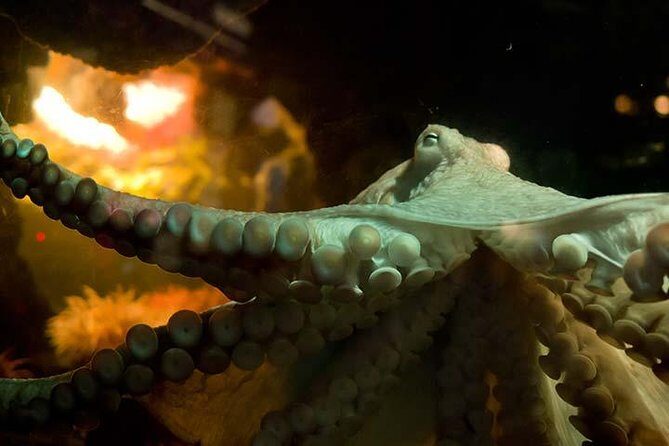 Boston CityPASS® - How the Itinerary Works in Practice