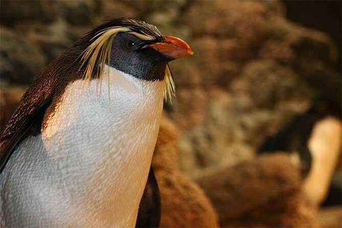 Boston CityPASS® - Final Verdict