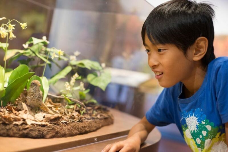 Boston CityPASS®: Save up to 46% at 4 Top Attractions - FAQ