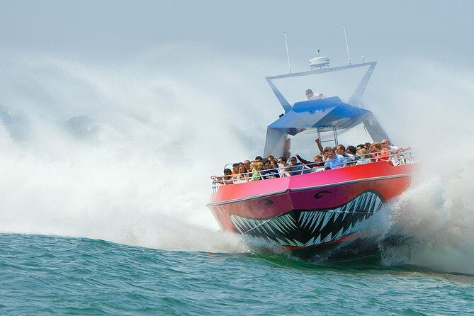 Boston Codzilla High-Speed Thrill Boat Ride - Key Points