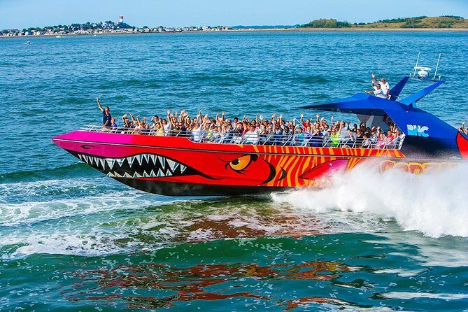Boston Codzilla High-Speed Thrill Boat Ride - Who Is This Experience Best For?