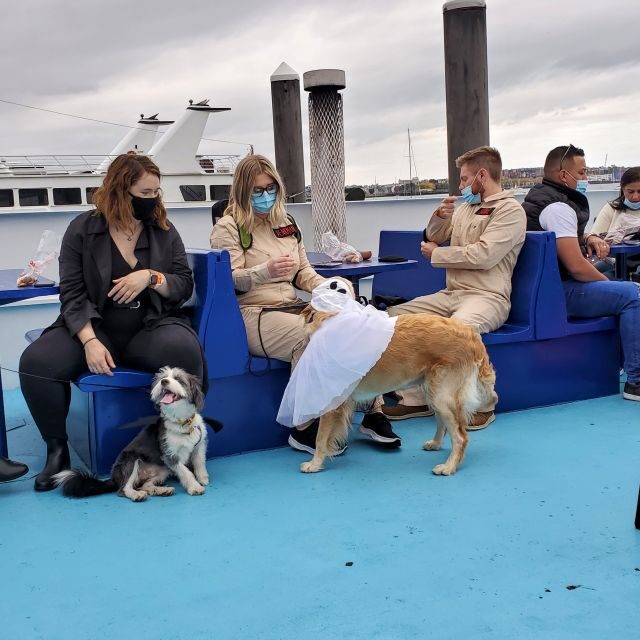 Boston: Dog-Friendly Halloween Costume & Sightseeing Cruise - Key Points