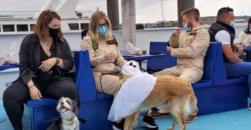 Boston: Dog-Friendly Halloween Costume & Sightseeing Cruise - The Experience: Pros and Cons