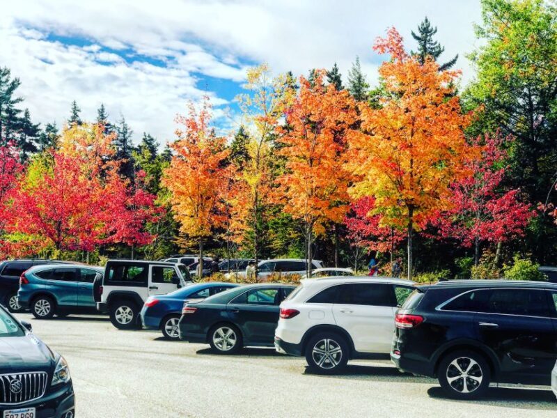 Boston: Fall Foliage Tour - Key Points