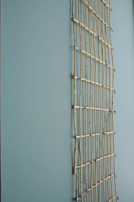 Boston Fenway Park: Guided Ballpark Tour with Options - Practical Details: What to Know Before You Go