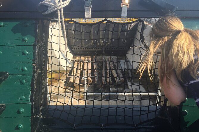 Boston Freedom Trail Self-Guided Tour with Audio Narration & Map - Who Would Love This Tour?