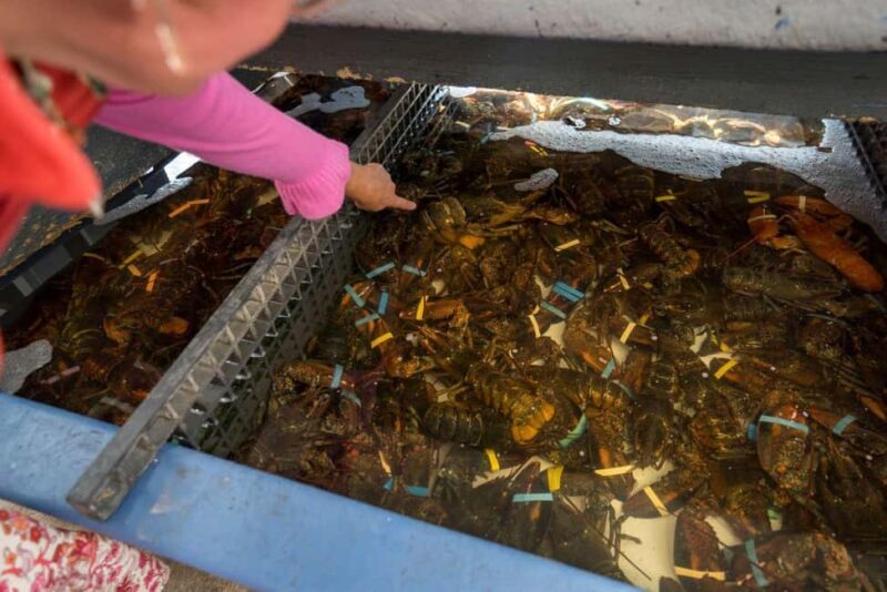 Boston: Guided Seafood Tasting and History Tour - Price and Overall Value