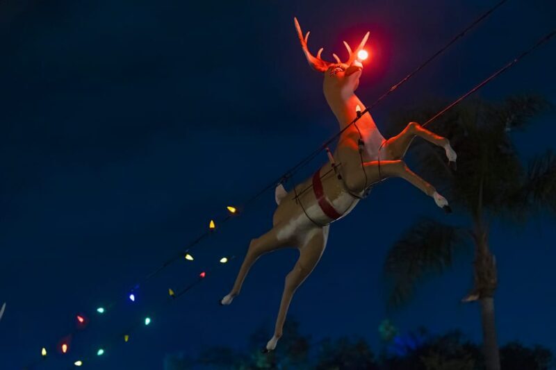 Boston: Holiday Sights and Festive Nights Trolley Tour - The Guide and the Stories