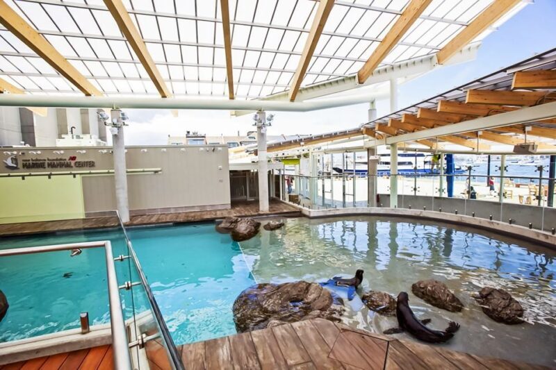 Boston: New England Aquarium Entry + Optional Simons Theatre - Key Points