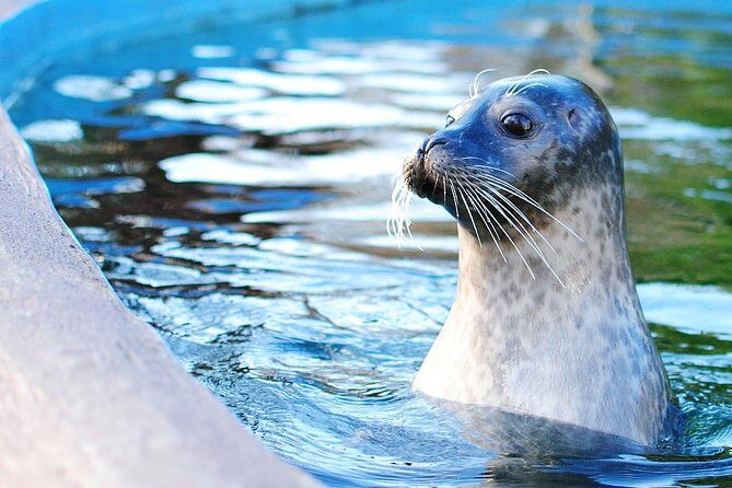 Boston Pass: 40+ Things To Do - Includes Franklin Park Zoo - Exploring the Itinerary: What You’ll Actually Do