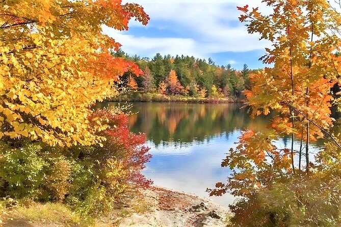 Boston to New Hampshire Fall Foliage White Mountains Day Trip - The Itinerary in Detail