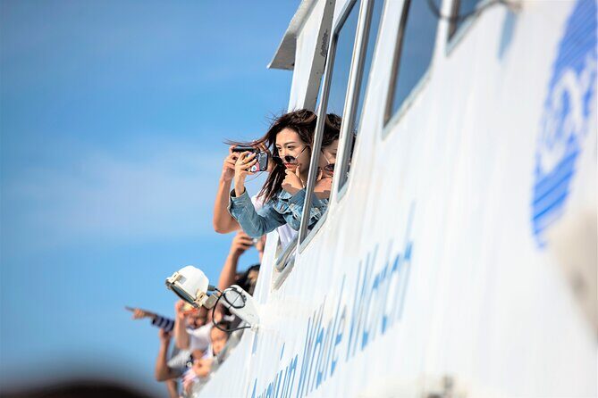 Boston Whale Watching Cruise by High-Speed Catamaran - Who Should Consider This Tour?