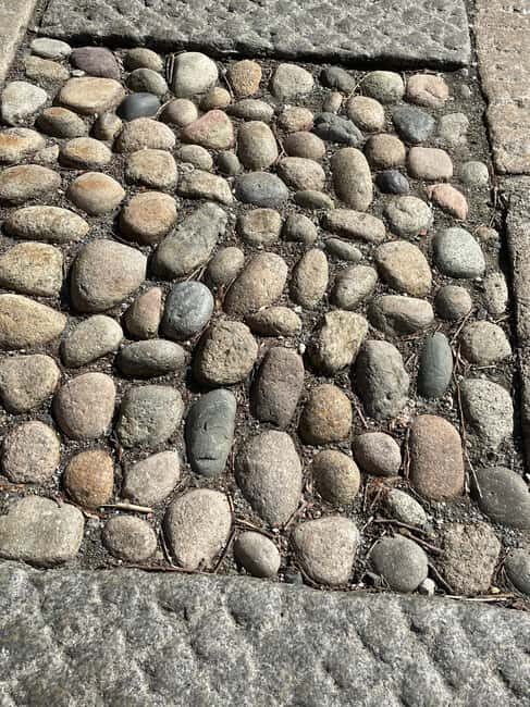 Boston's Beacon Hill: Small Group or Private Walking Tour - Setting the Scene: What to Expect on the Tour