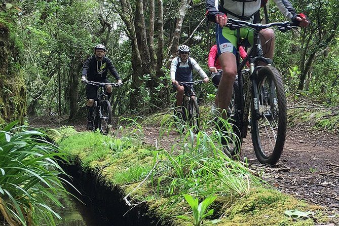 Botanical Trails of Madeira. Mountain biking Trail Experience - A Closer Look at the Trail Experience