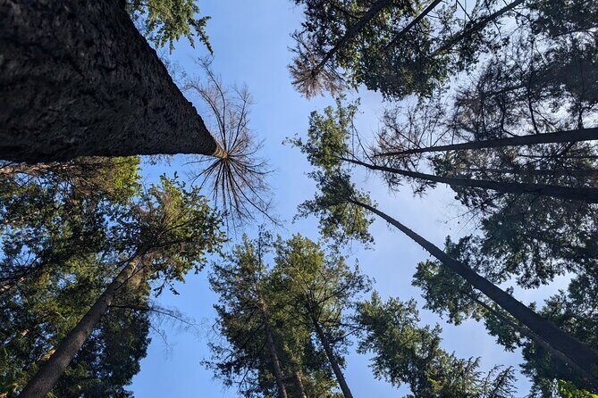 Botany of Witchcraft - What You Can Expect from the Tour