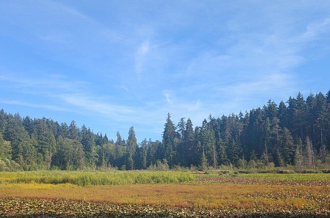 Botany of Witchcraft - Final Thoughts: Who Should Consider This Tour?