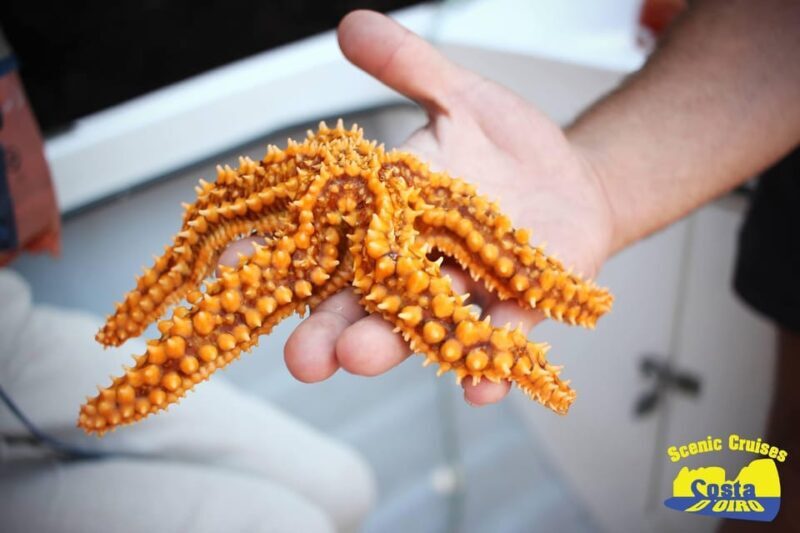 Bottom Fishing Lagos - Who Is This Tour Best Suited For?