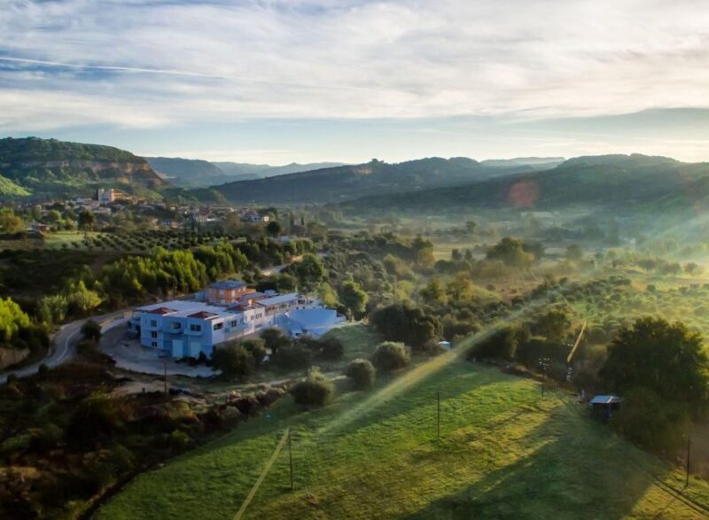 Boutique Expedition-Small Group, Olympia, Wine & Oil Taste - Olive Oil Tasting at OILYMPIAN KOUFOLIAS