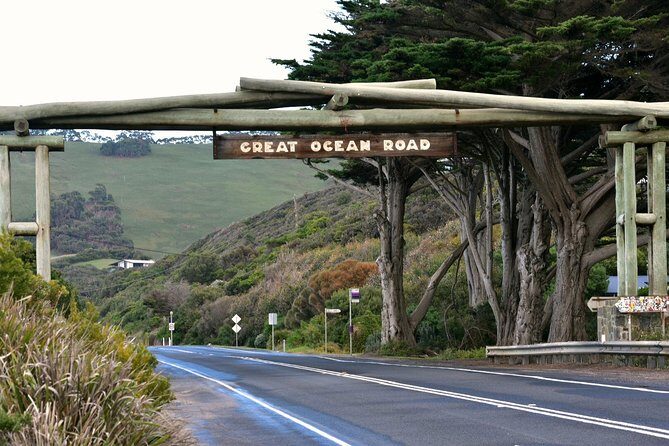 Boutique Great Ocean Road, wildlife and Rainforest Experience - Morning start in Anglesea