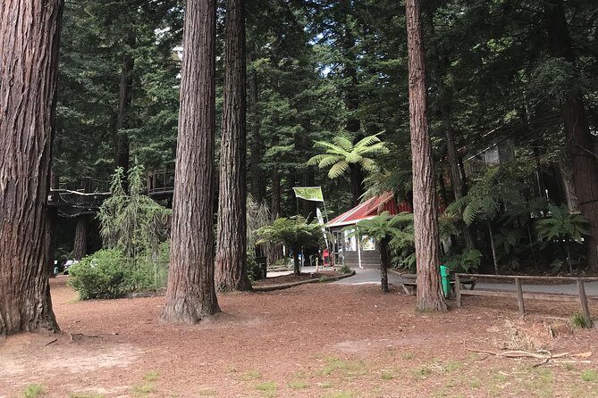 Boutique tour , Mt Maunganui, NZ farm, Rotorua lakes/geothermal - FAQs