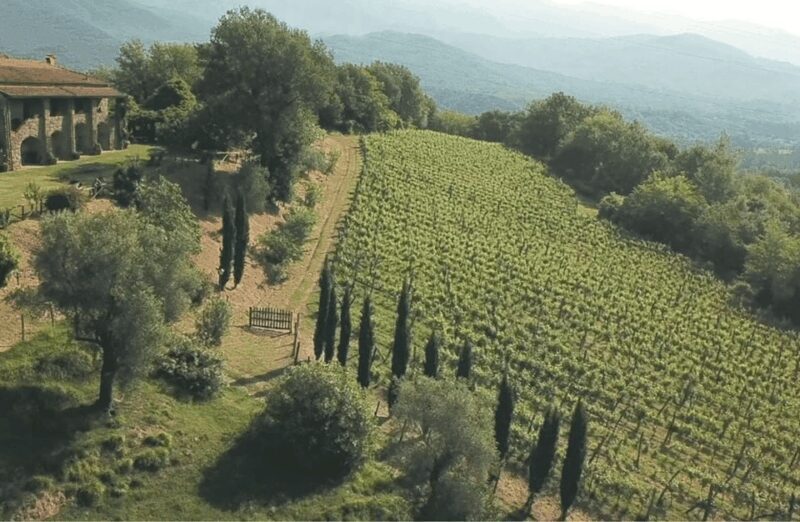 Boutique Winery Tour & Tasting in North Tuscany - Key Points