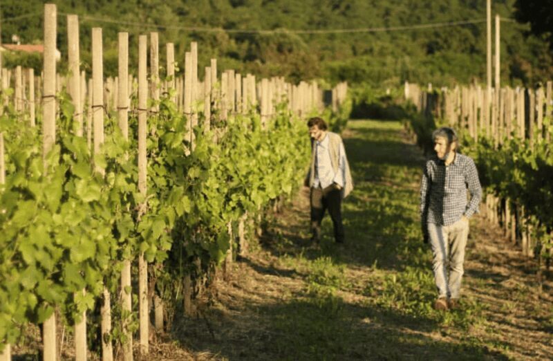 Boutique Winery Tour & Tasting in North Tuscany - Practical Details: What You Need to Know
