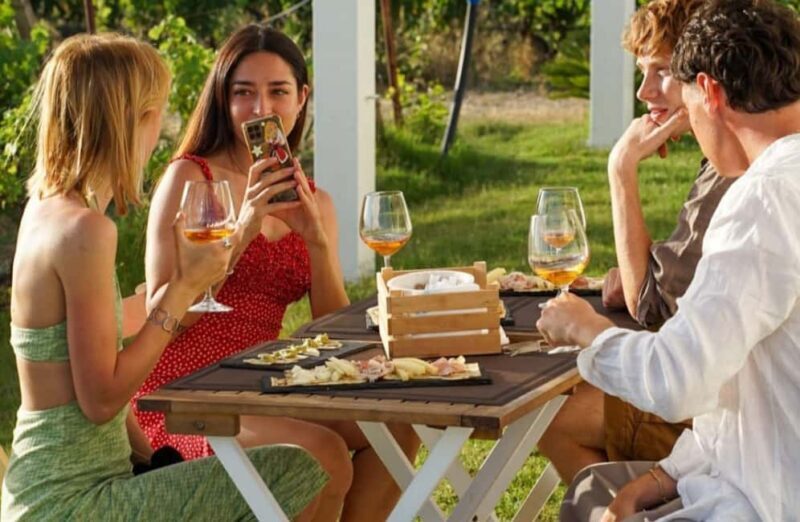 Boutique Winery Tour with Wine & Food Tasting near Cagliari - Key Points