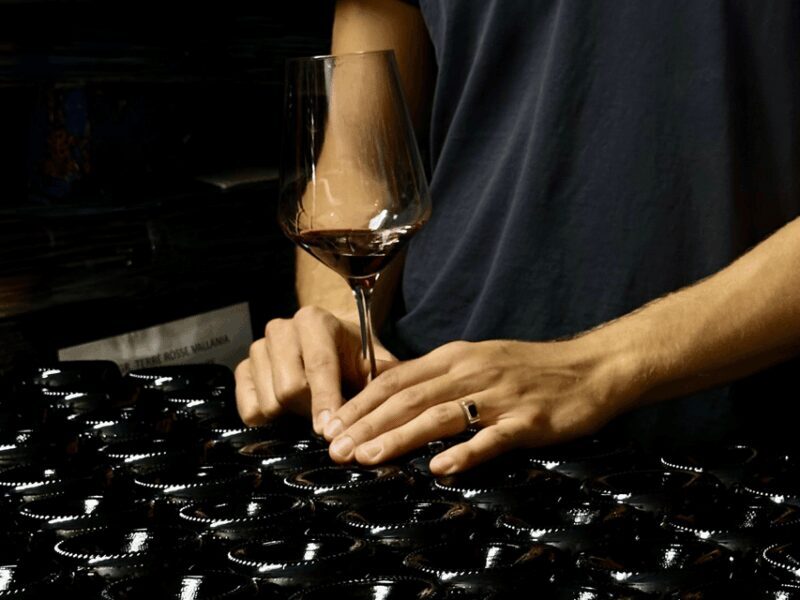 Boutique Winery Tour with Wine Tasting & Food in Bologna - A Closer Look at the Experience