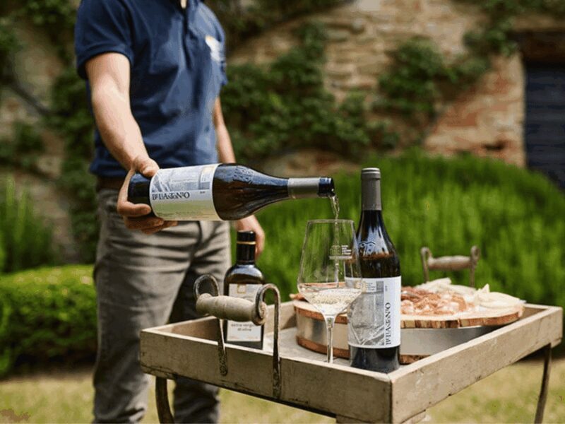 Boutique Winery Visit & 5 Organic Wine Tastings near Urbino - Key Points