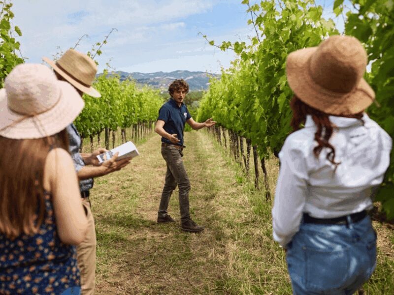 Boutique Winery Visit & 5 Organic Wine Tastings near Urbino - FAQ