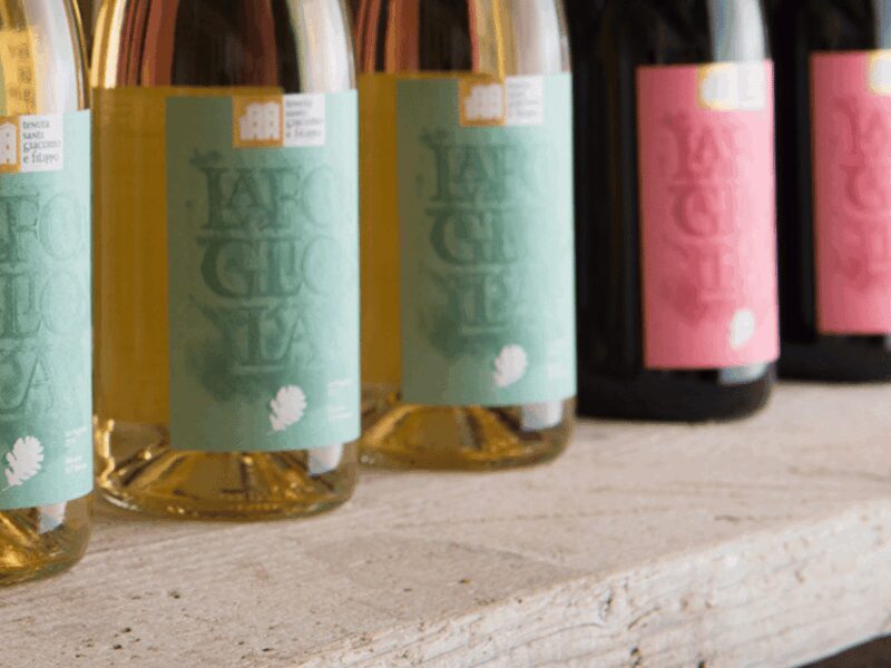 Boutique Winery Visit & 5 Organic Wine Tastings near Urbino - Final Thoughts