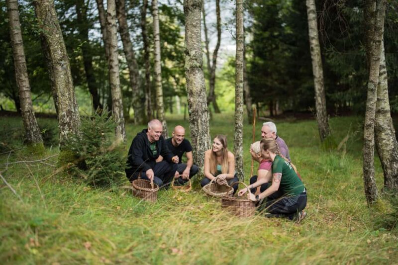 Bovec: It Smells Like Mushrooms - Introduction