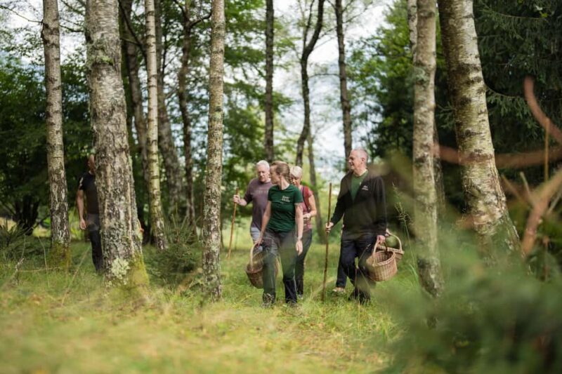 Bovec: It Smells Like Mushrooms - Key Points