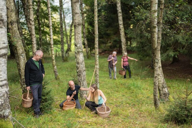 Bovec: It Smells Like Mushrooms - Practical Considerations