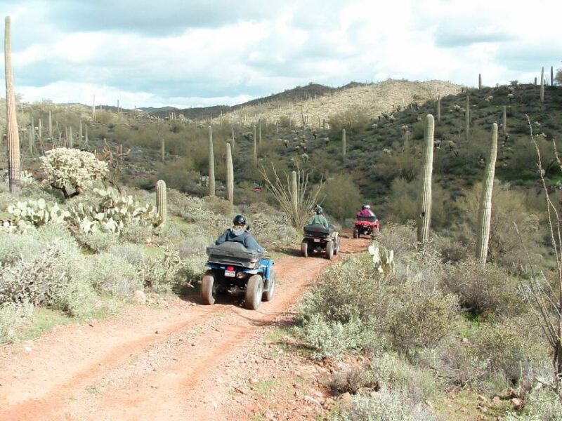 Box Canyon and Pinal Mountains Half-Day ATV Tour - What We Loved from the Reviews