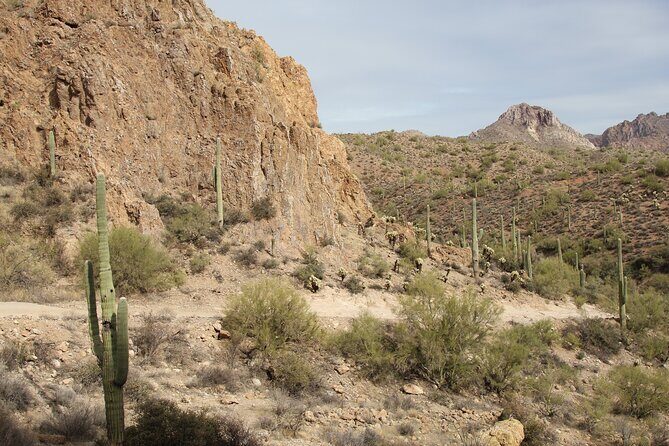 Box Canyon ATV Tour in Florence, Arizona - Who is This Tour Best For?