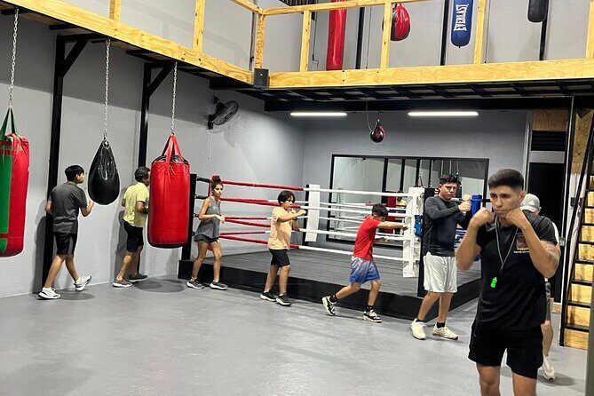 Boxing Puerto Vallarta Experience a day in the ring - Key takeaways