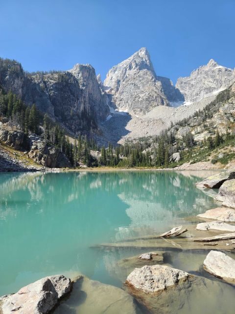 Bozeman: Yellowstone & Grand Teton National Park with Hotel - Key Points