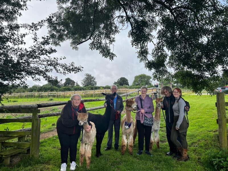 Brackenfield: Alpaca Trek - FAQ