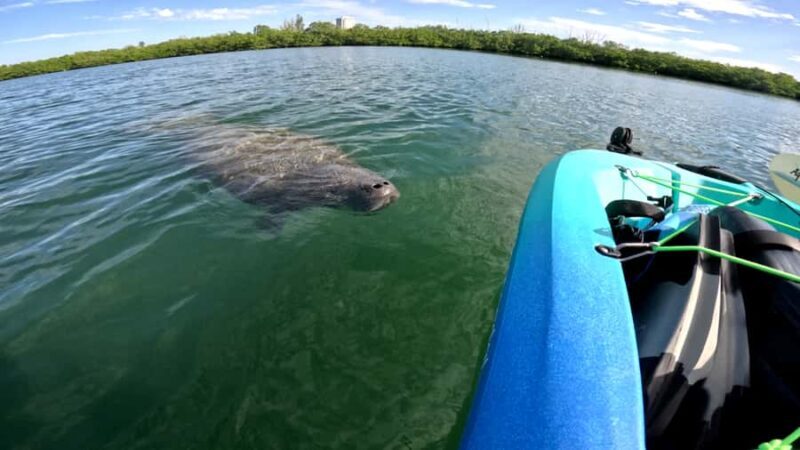 Bradenton: Guided Pedal Kayak Tour - The Practicalities of the Tour