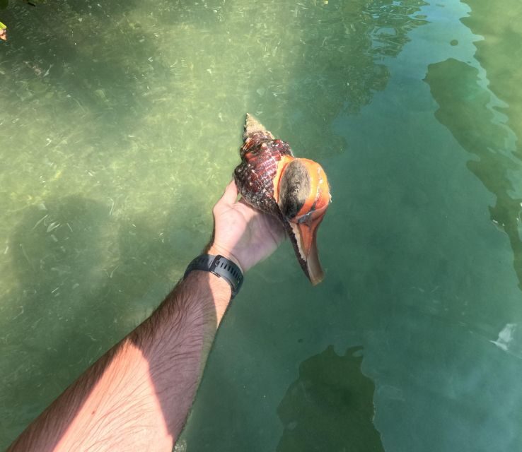 Bradenton: Guided Pedal Kayak Tour - Who Should Consider This Tour?