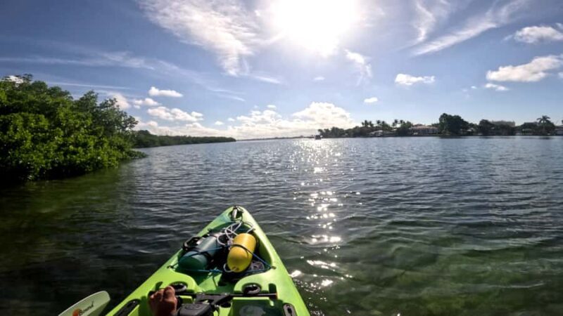 Bradenton: Guided Pedal Kayak Tour - Final Thoughts