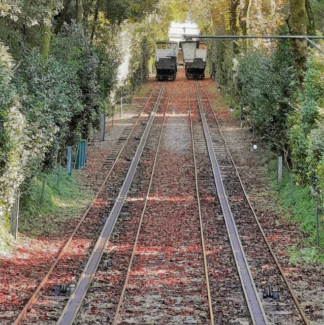 Braga and Guimarães Historical and Cultural Tour from Porto - Who Is This Tour Best For?