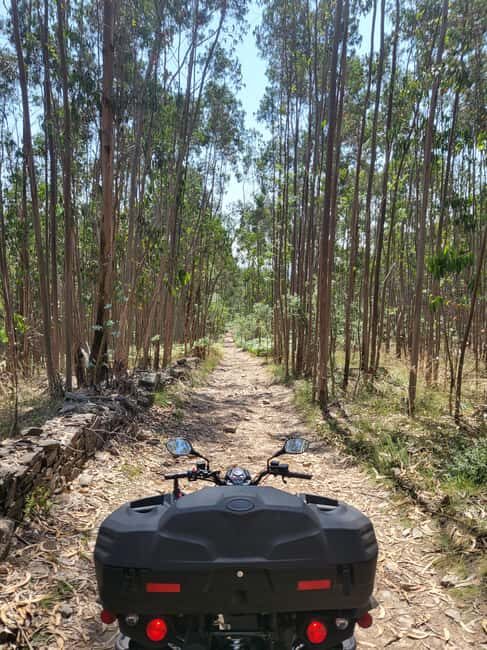 Braga: Quad bike ride, experience the adventure in Braga with Quad Paradise! - Final Thoughts