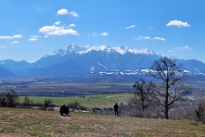 Bran Castle & Bear Sanctuary from Brasov - Optional Peles Castle - FAQ